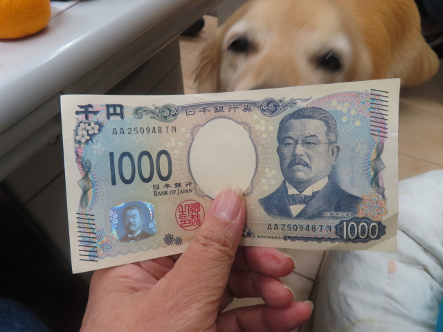 ファイル 8815-1.jpg