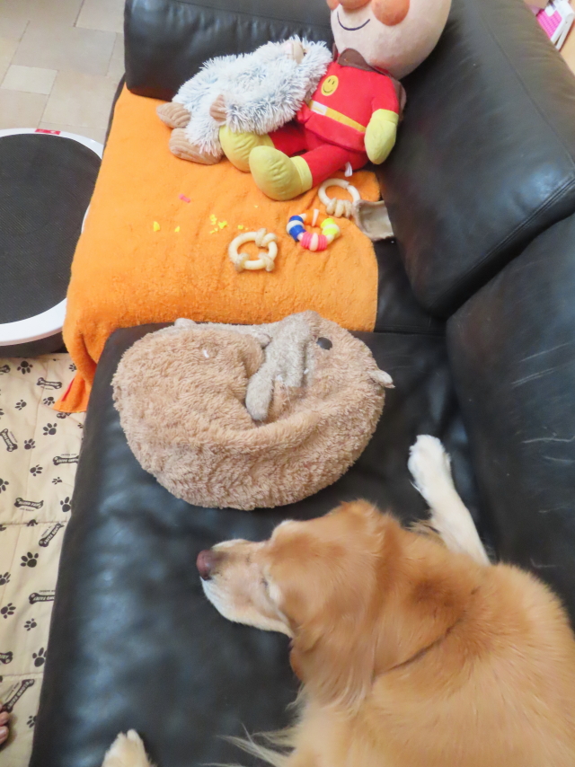 ファイル 8815-5.jpg