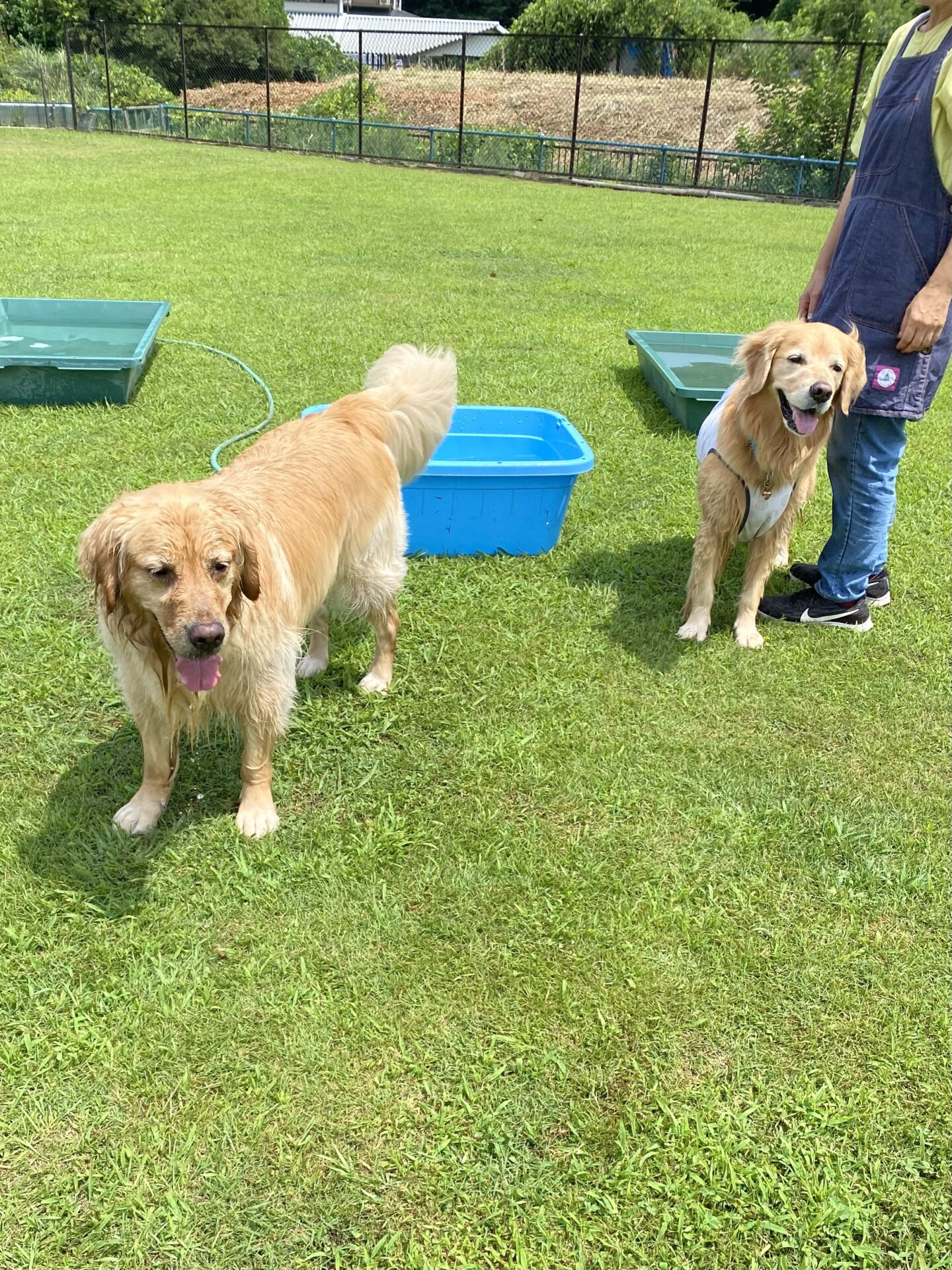 ファイル 8816-4.jpeg