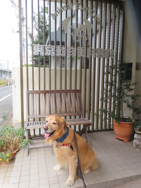 ファイル 8817-1.jpg