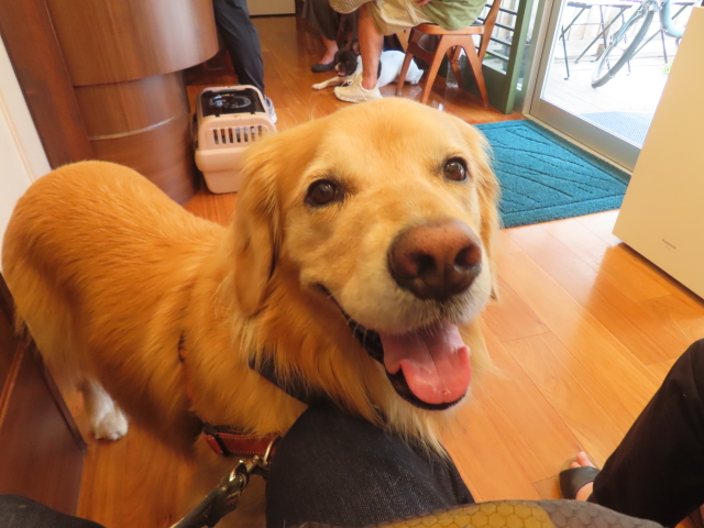 ファイル 8817-5.jpg