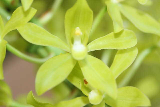 ファイル 882-3.jpg