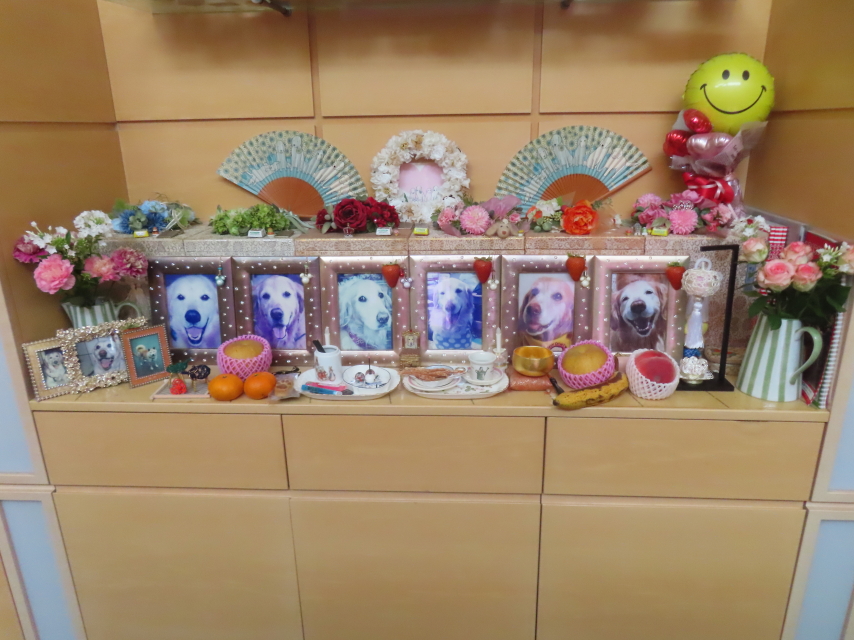 ファイル 8820-1.jpg