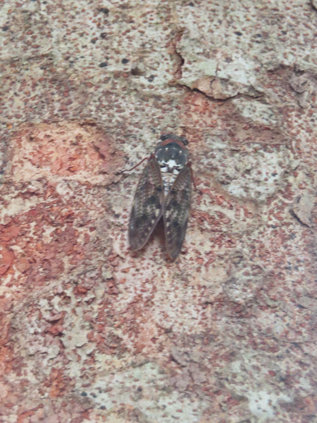 ファイル 8820-5.jpg