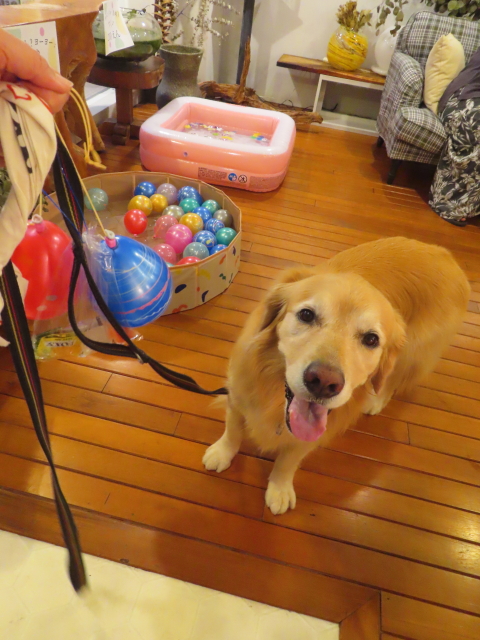 ファイル 8821-3.jpg