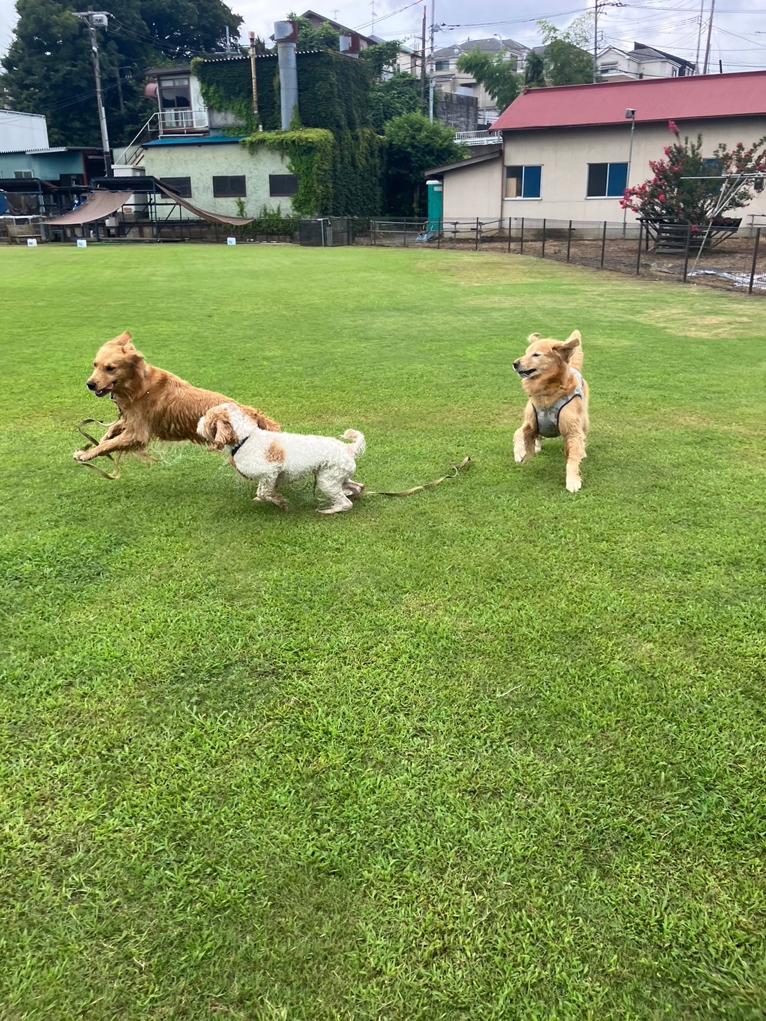 ファイル 8822-3.jpeg