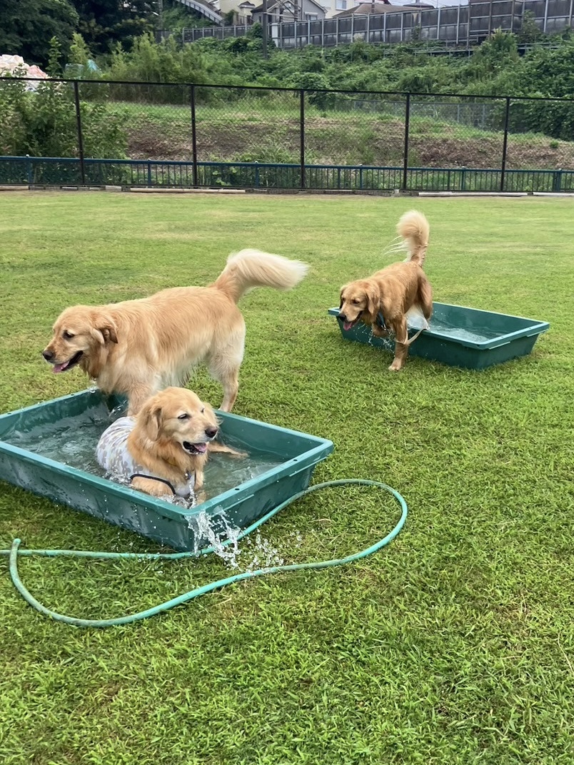 ファイル 8822-4.jpeg