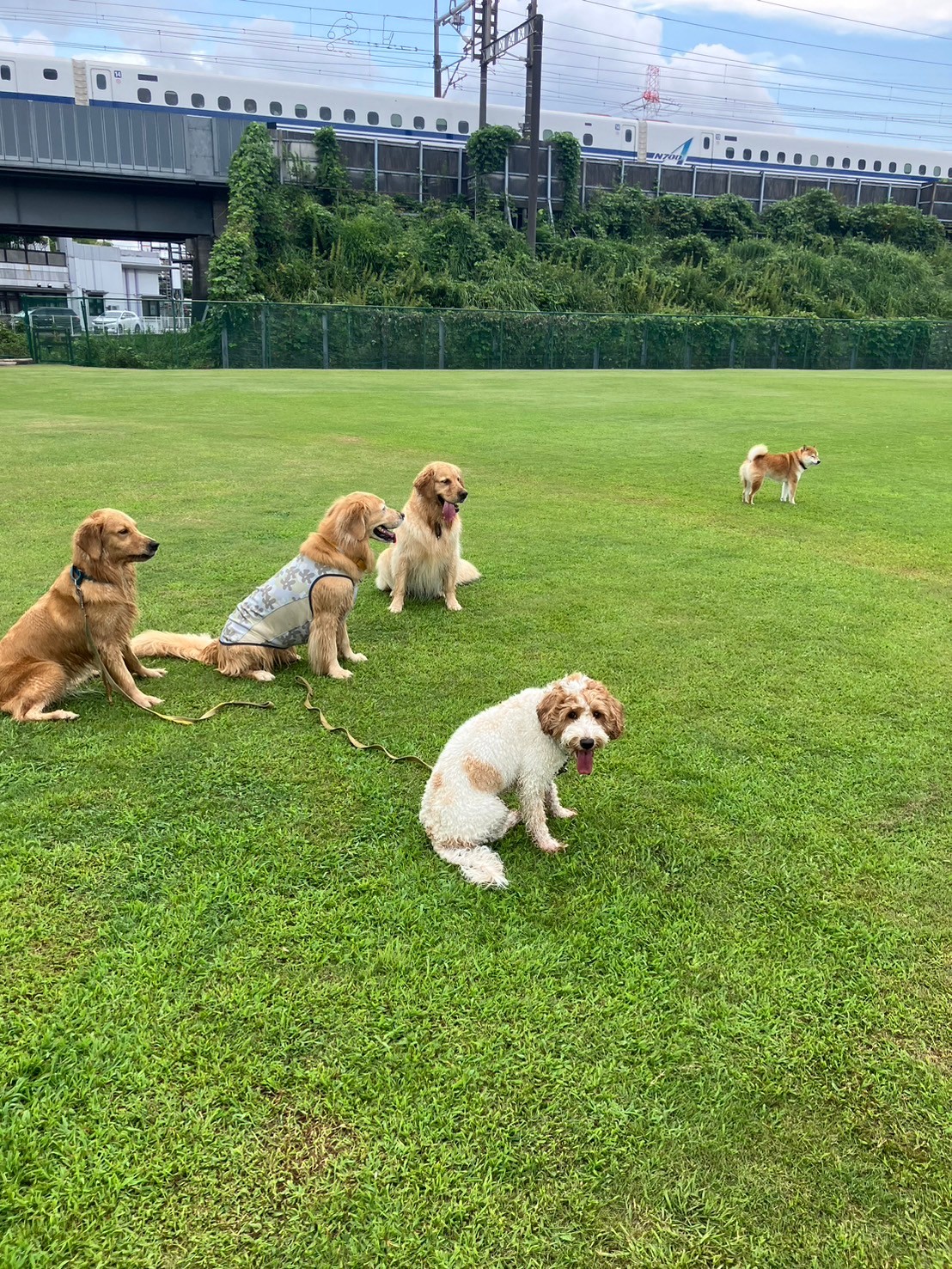 ファイル 8822-5.jpeg