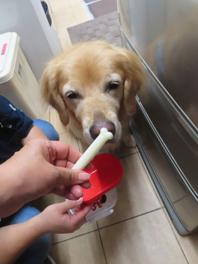 ファイル 8823-2.jpg