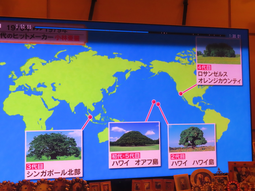 ファイル 8823-4.jpg