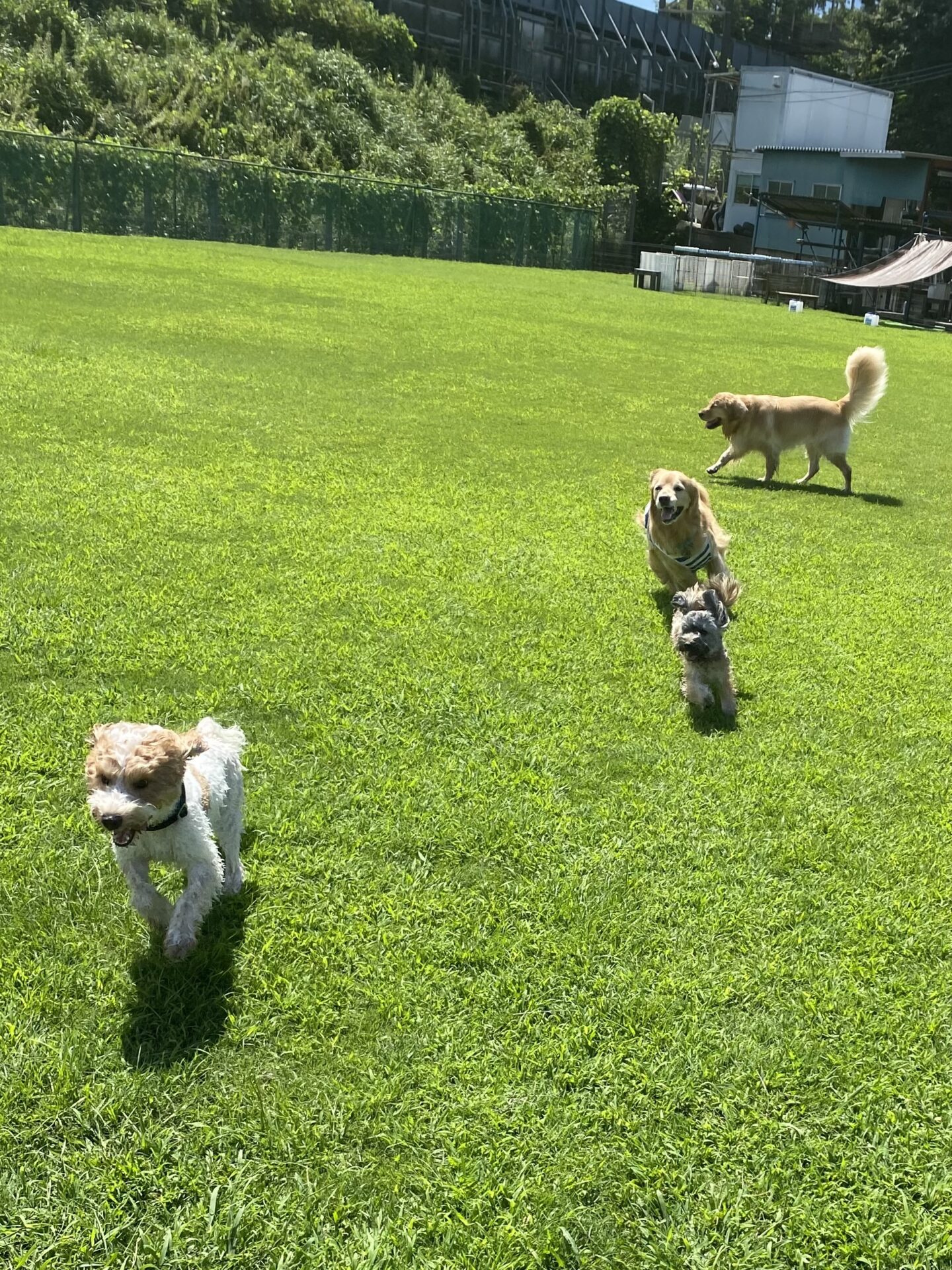 ファイル 8826-1.jpeg