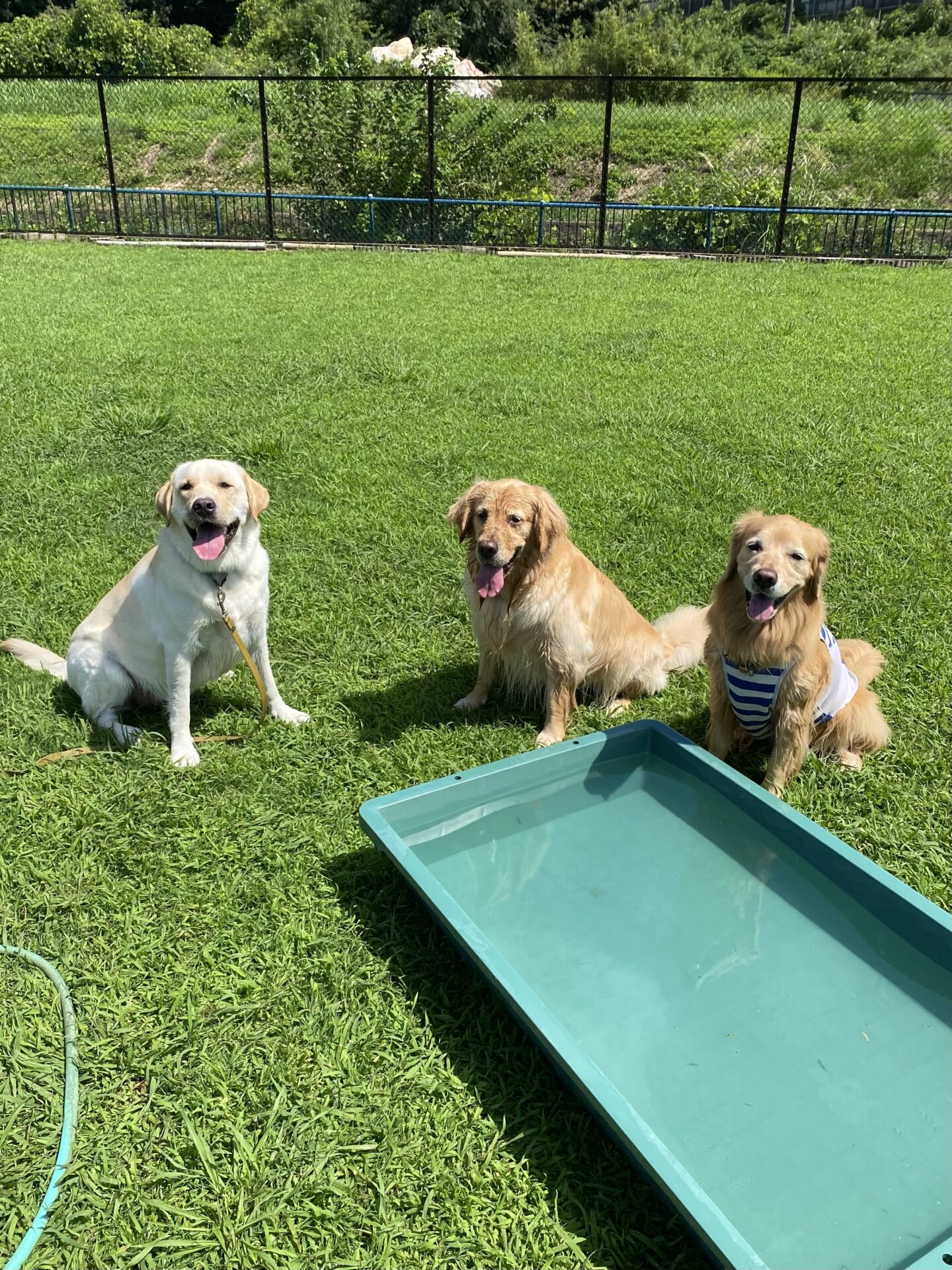 ファイル 8826-5.jpeg