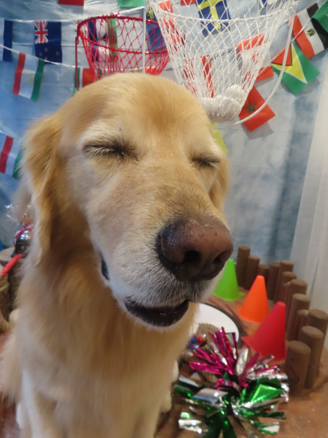 ファイル 8829-3.jpg