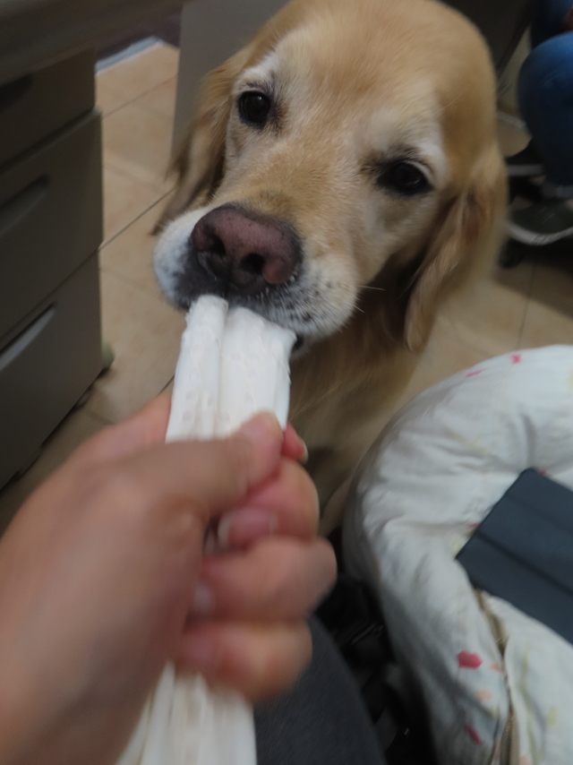 ファイル 8829-5.jpg