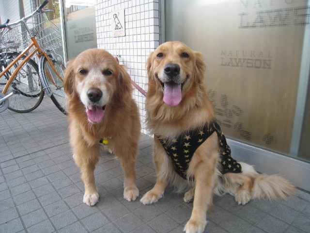 ファイル 883-2.jpg