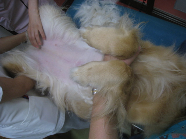 ファイル 883-4.jpg