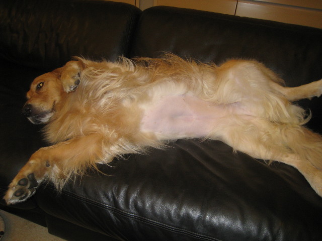 ファイル 883-5.jpg