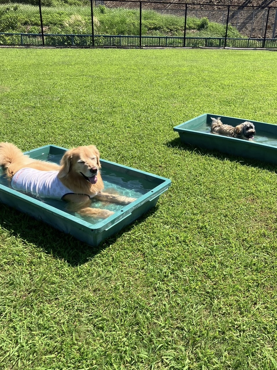 ファイル 8830-1.jpeg