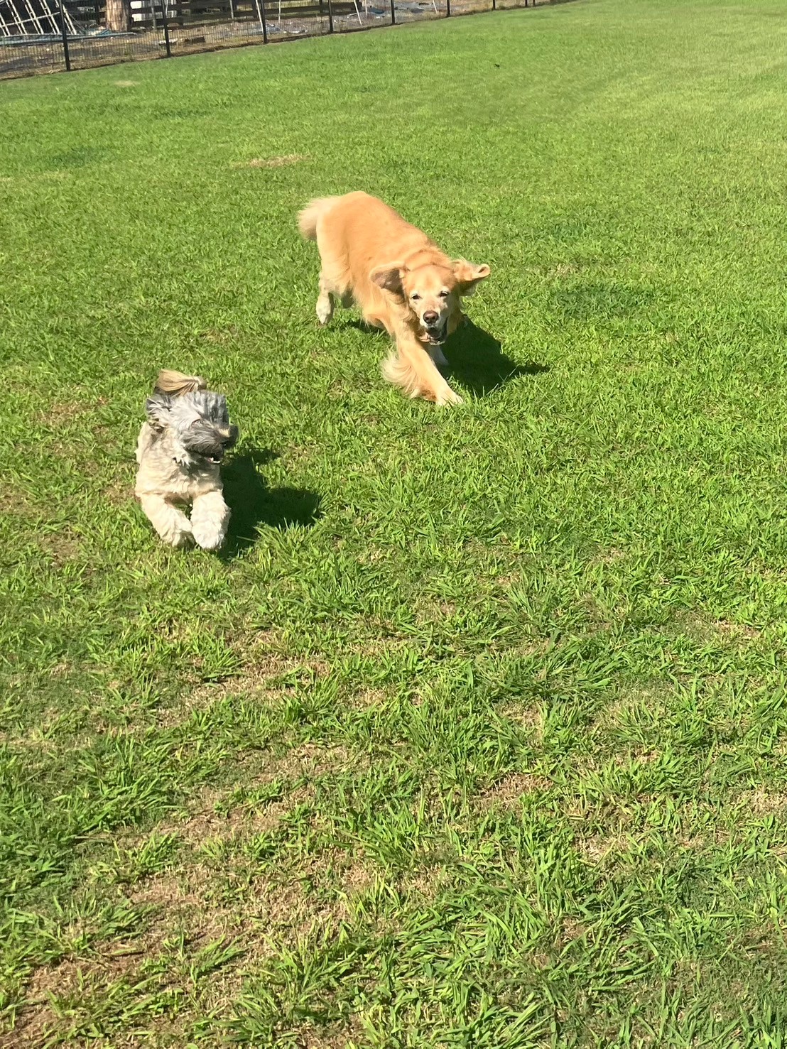 ファイル 8830-3.jpeg