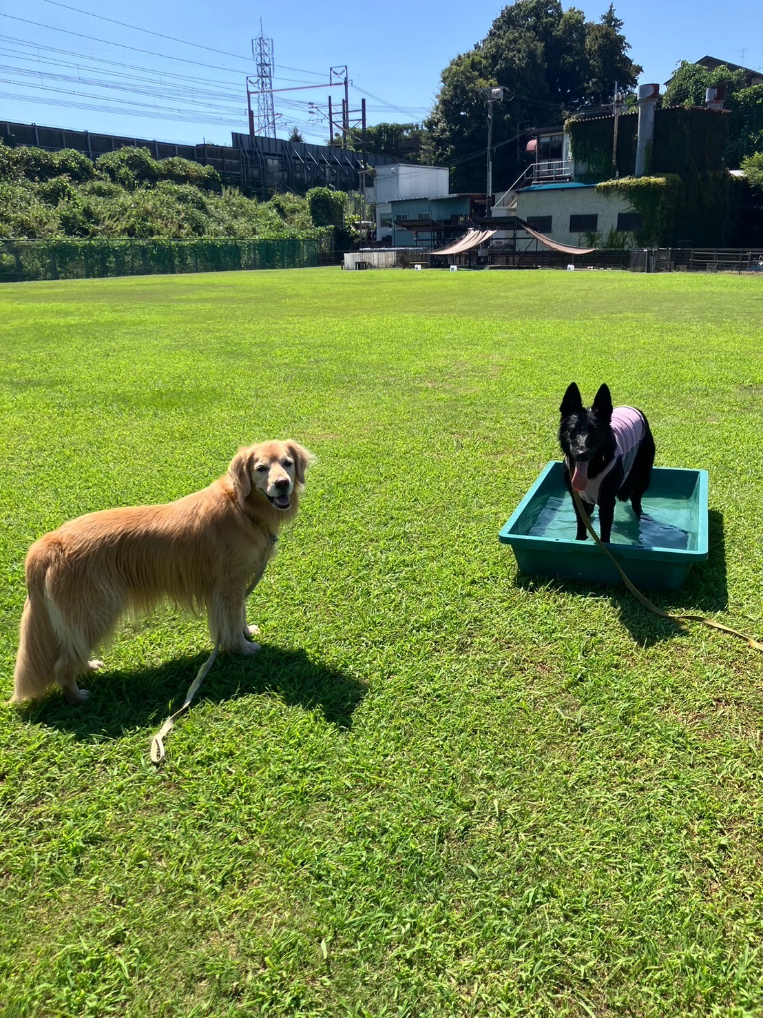 ファイル 8830-4.jpeg