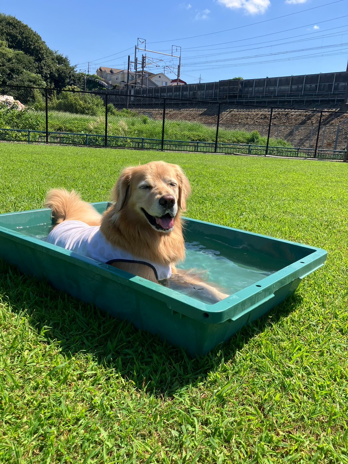 ファイル 8830-5.jpeg