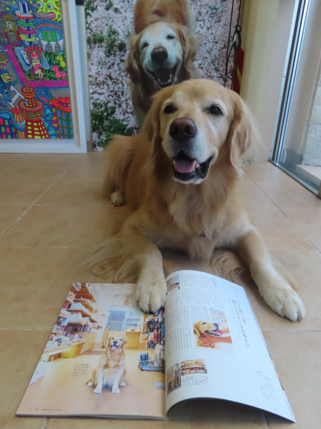 ファイル 8831-1.jpg