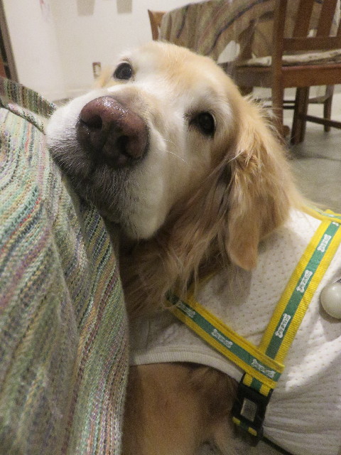 ファイル 8832-2.jpg