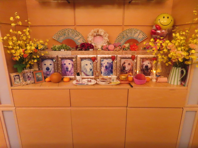 ファイル 8832-3.jpg