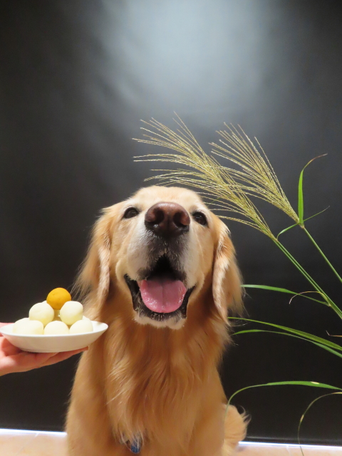 ファイル 8832-5.jpg