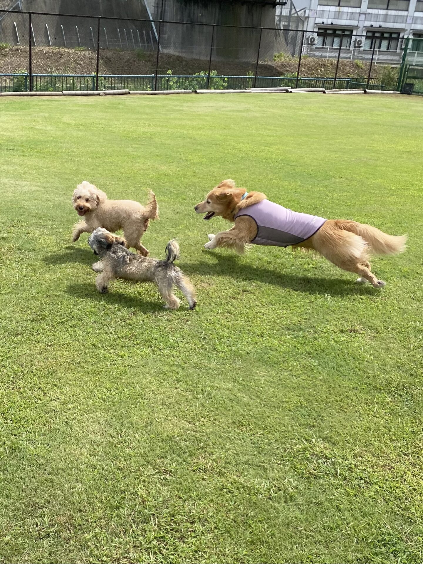 ファイル 8833-1.jpeg