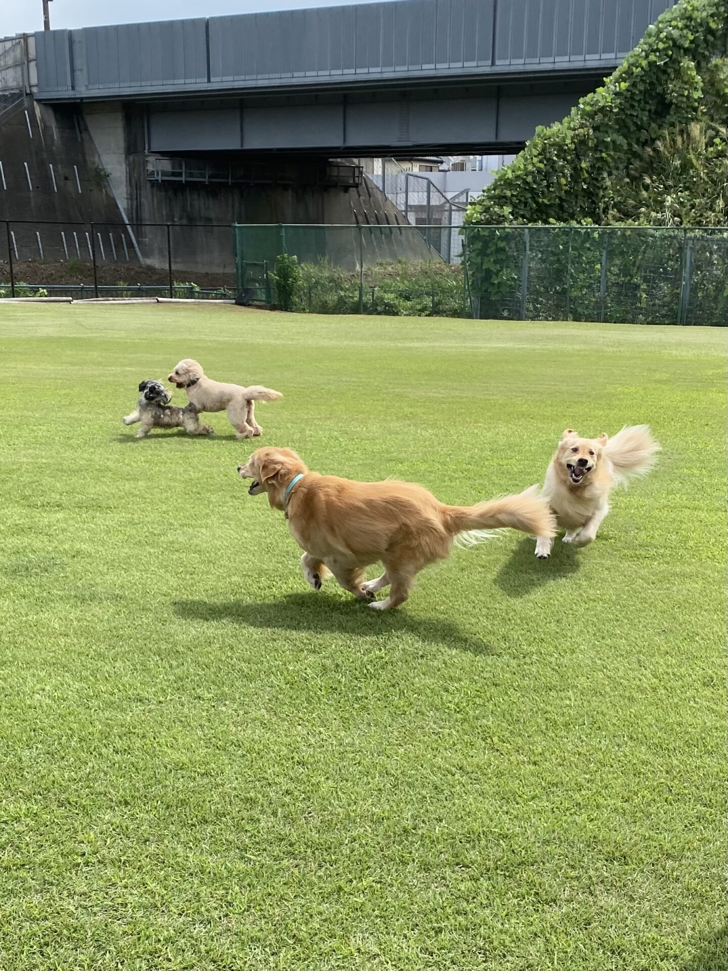 ファイル 8833-2.jpeg