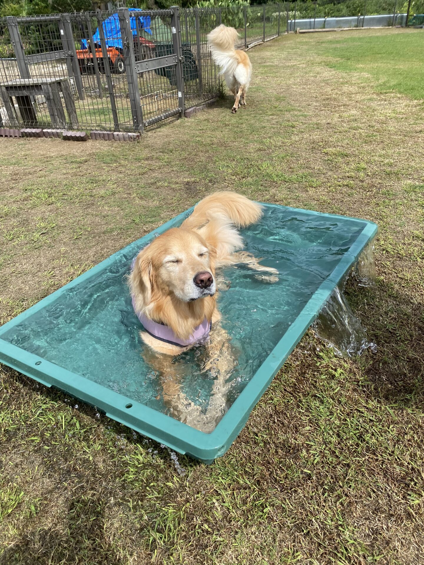 ファイル 8833-4.jpeg