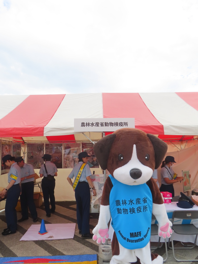 ファイル 8834-3.jpg