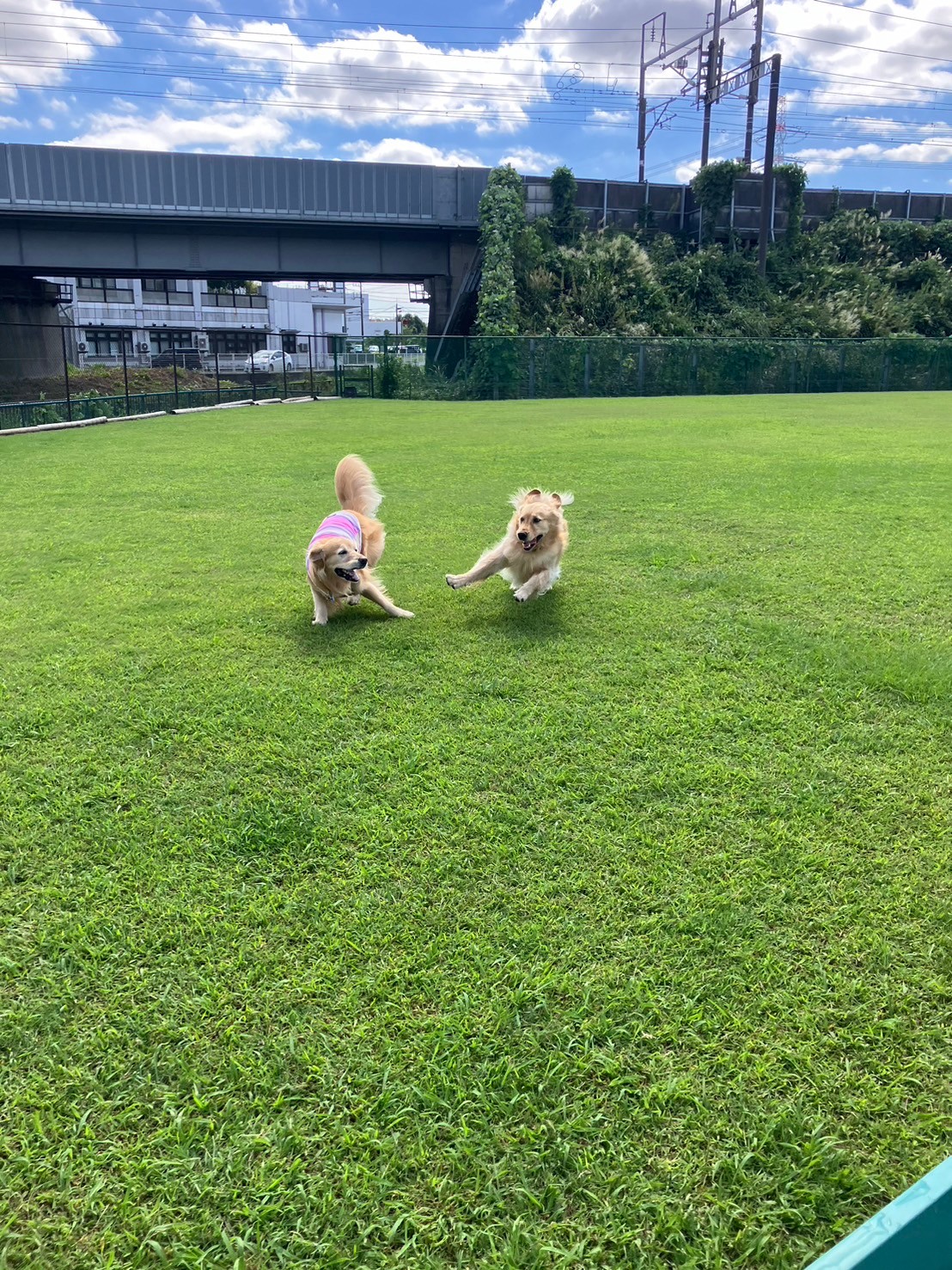 ファイル 8835-1.jpeg