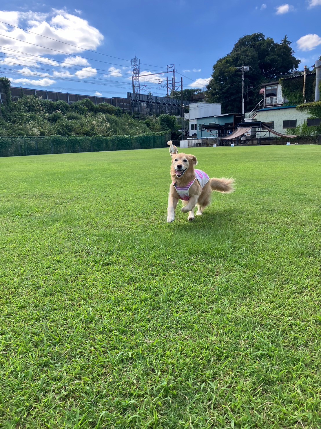 ファイル 8835-2.jpeg