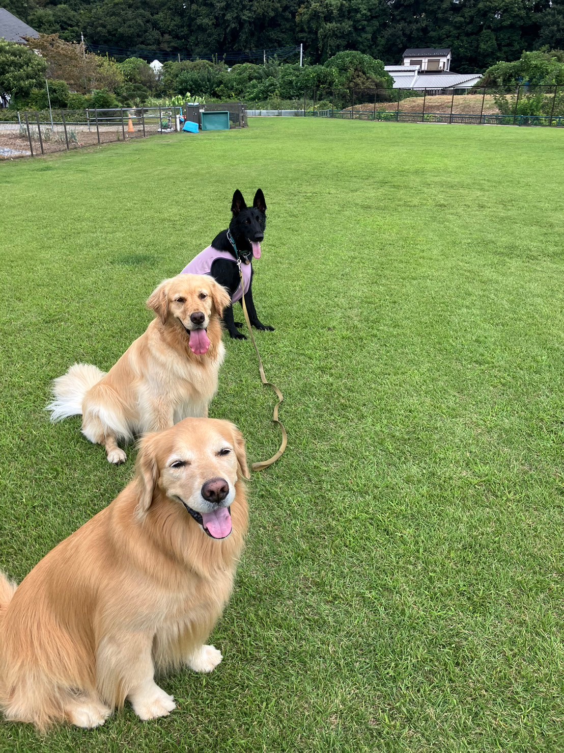 ファイル 8835-5.jpeg