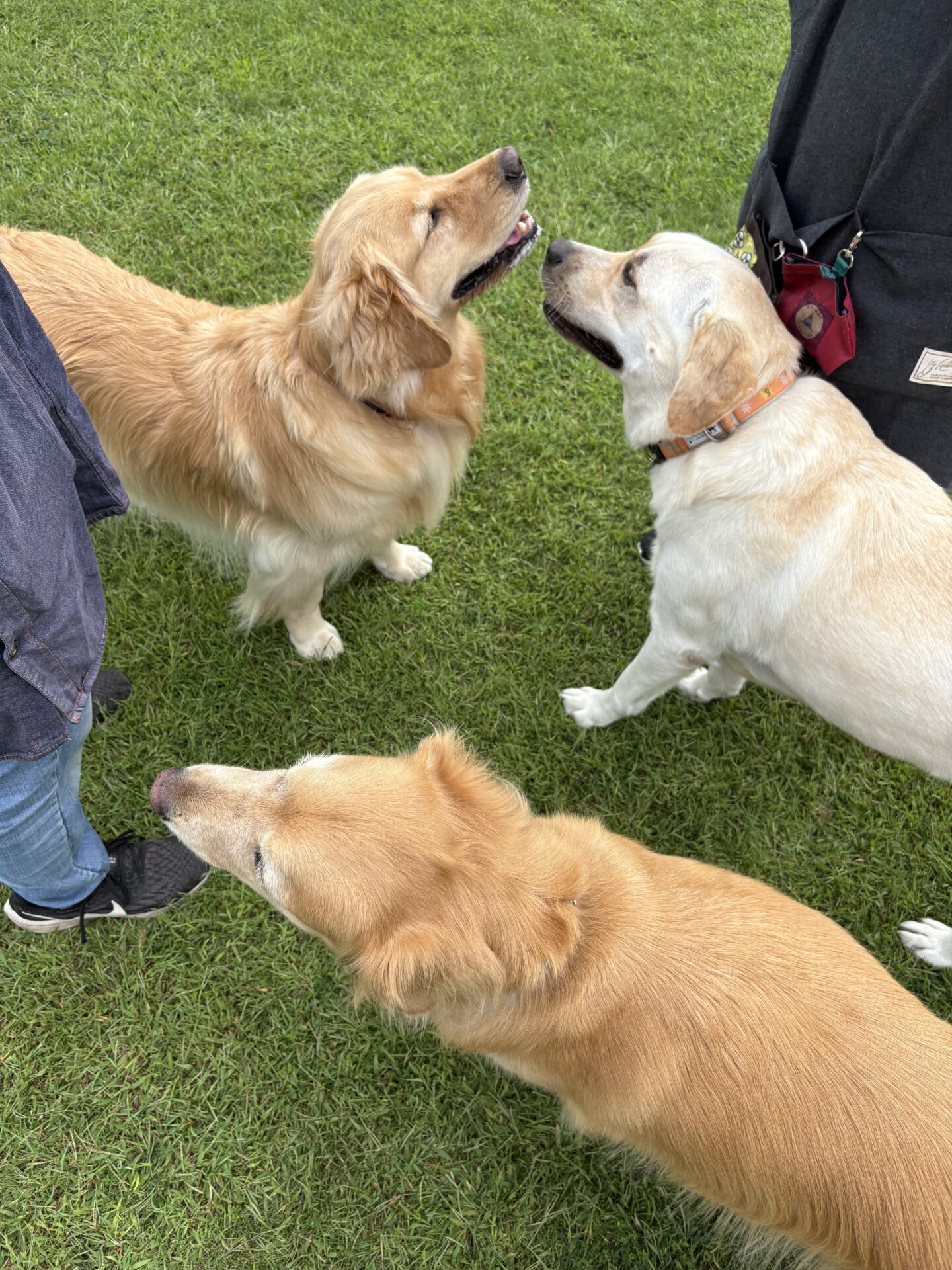 ファイル 8838-4.jpeg