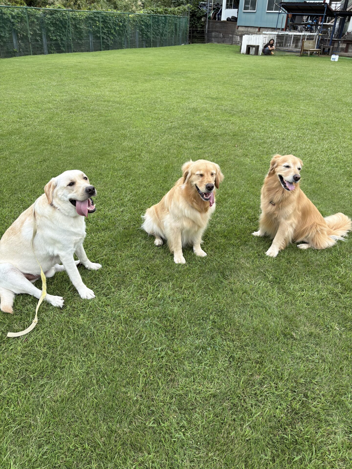 ファイル 8838-5.jpeg