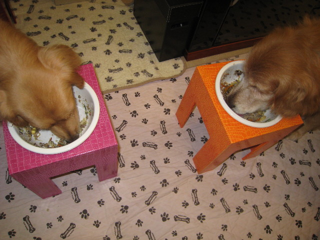 ファイル 884-1.jpg