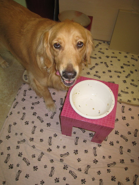 ファイル 884-2.jpg