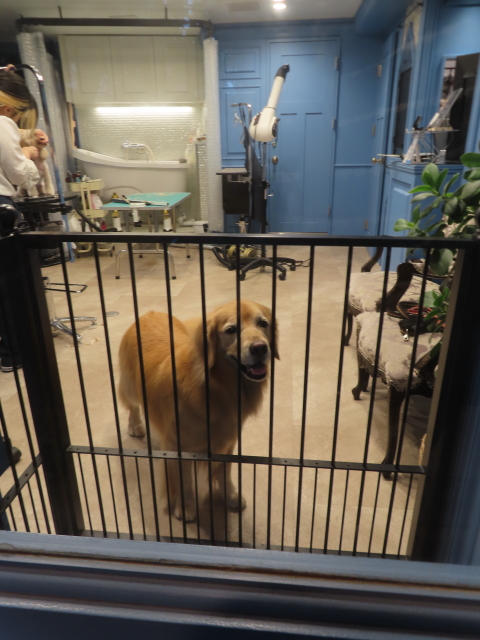 ファイル 8840-2.jpg