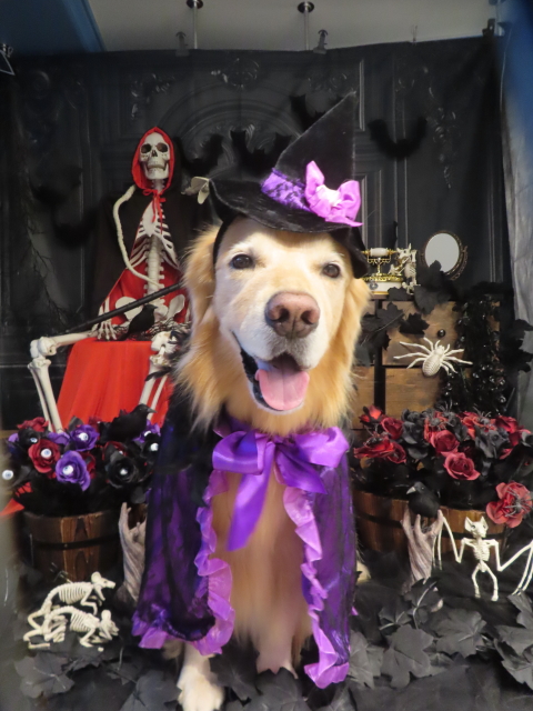 ファイル 8840-4.jpg