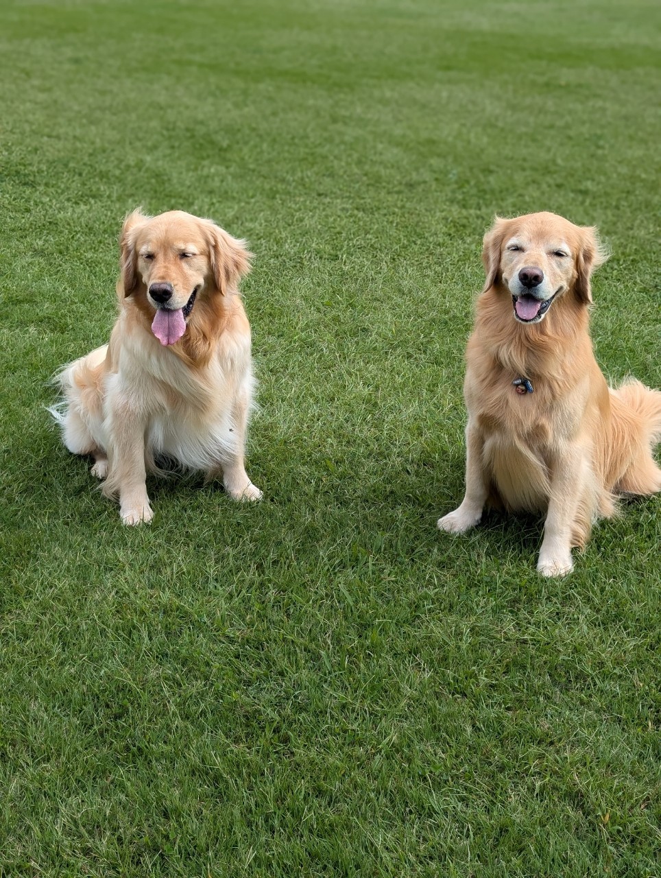 ファイル 8841-1.jpeg