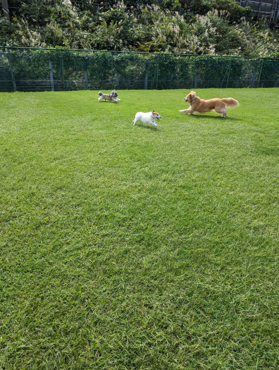 ファイル 8841-5.jpeg