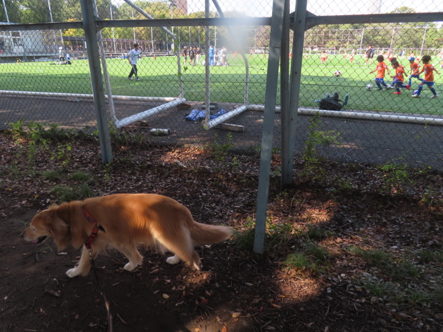 ファイル 8842-3.jpg