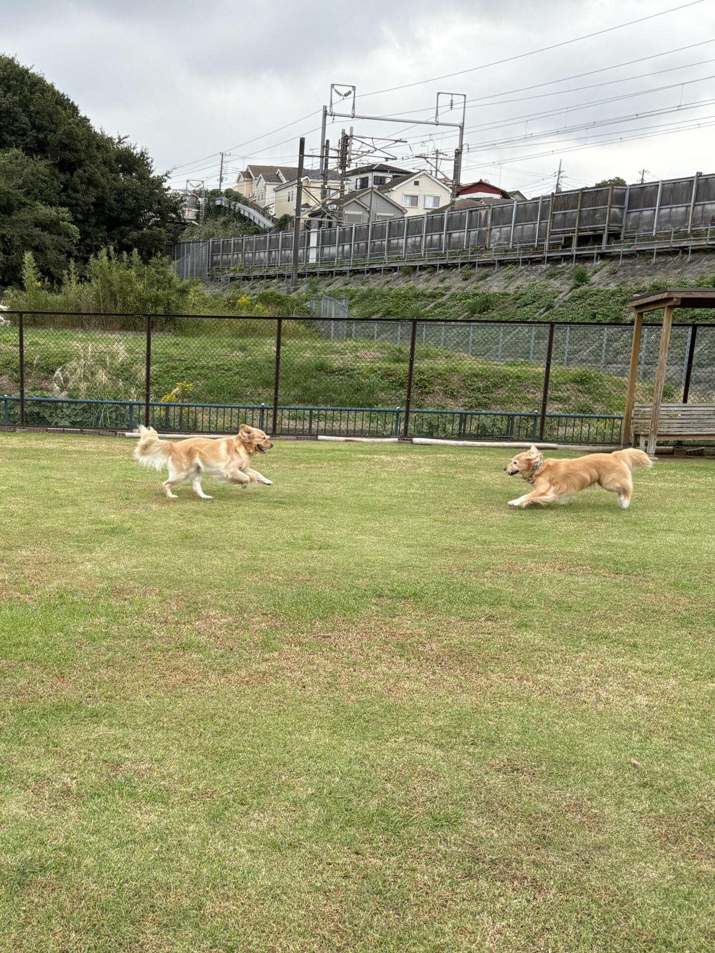 ファイル 8843-1.jpeg