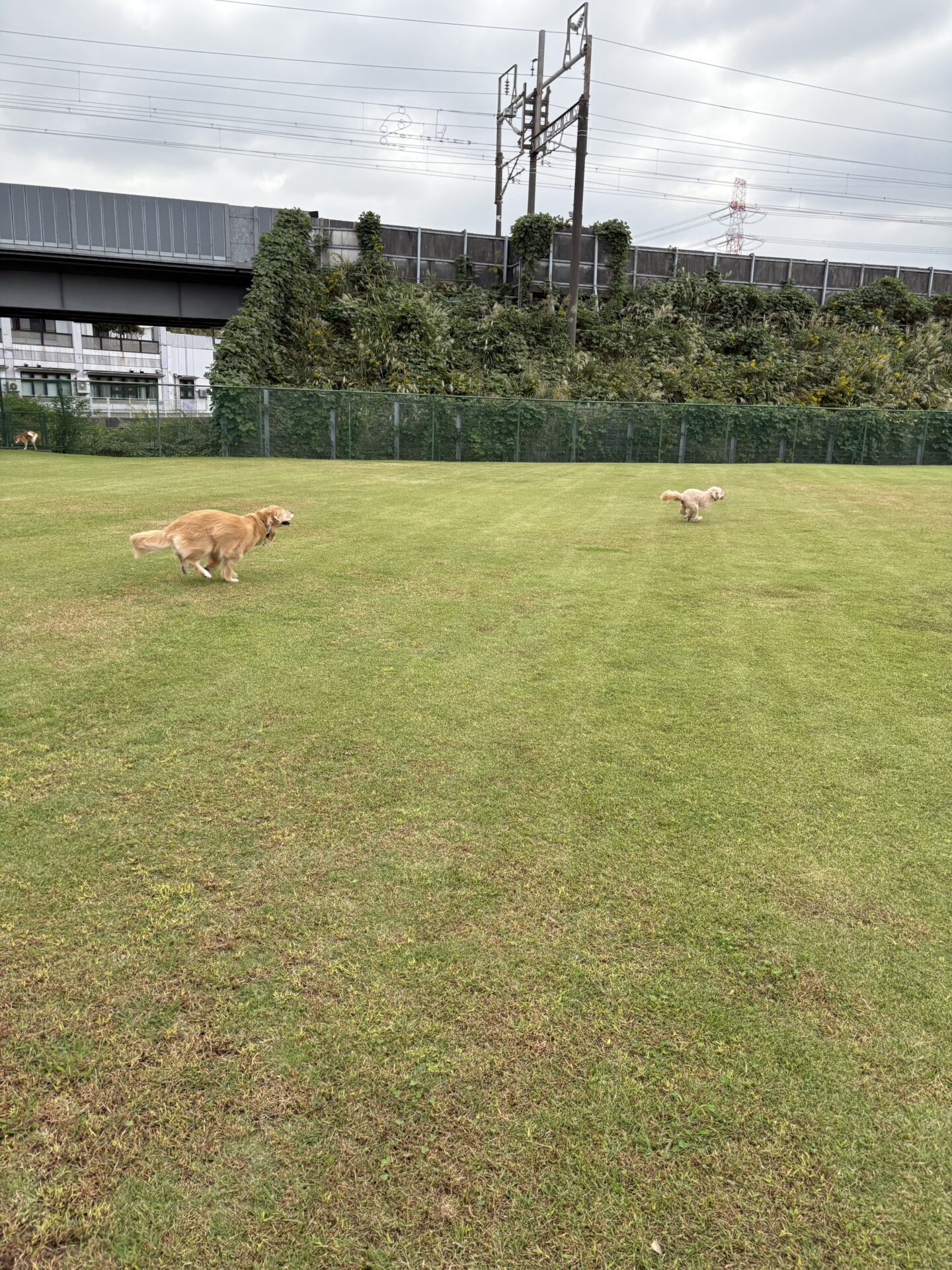 ファイル 8843-2.jpeg