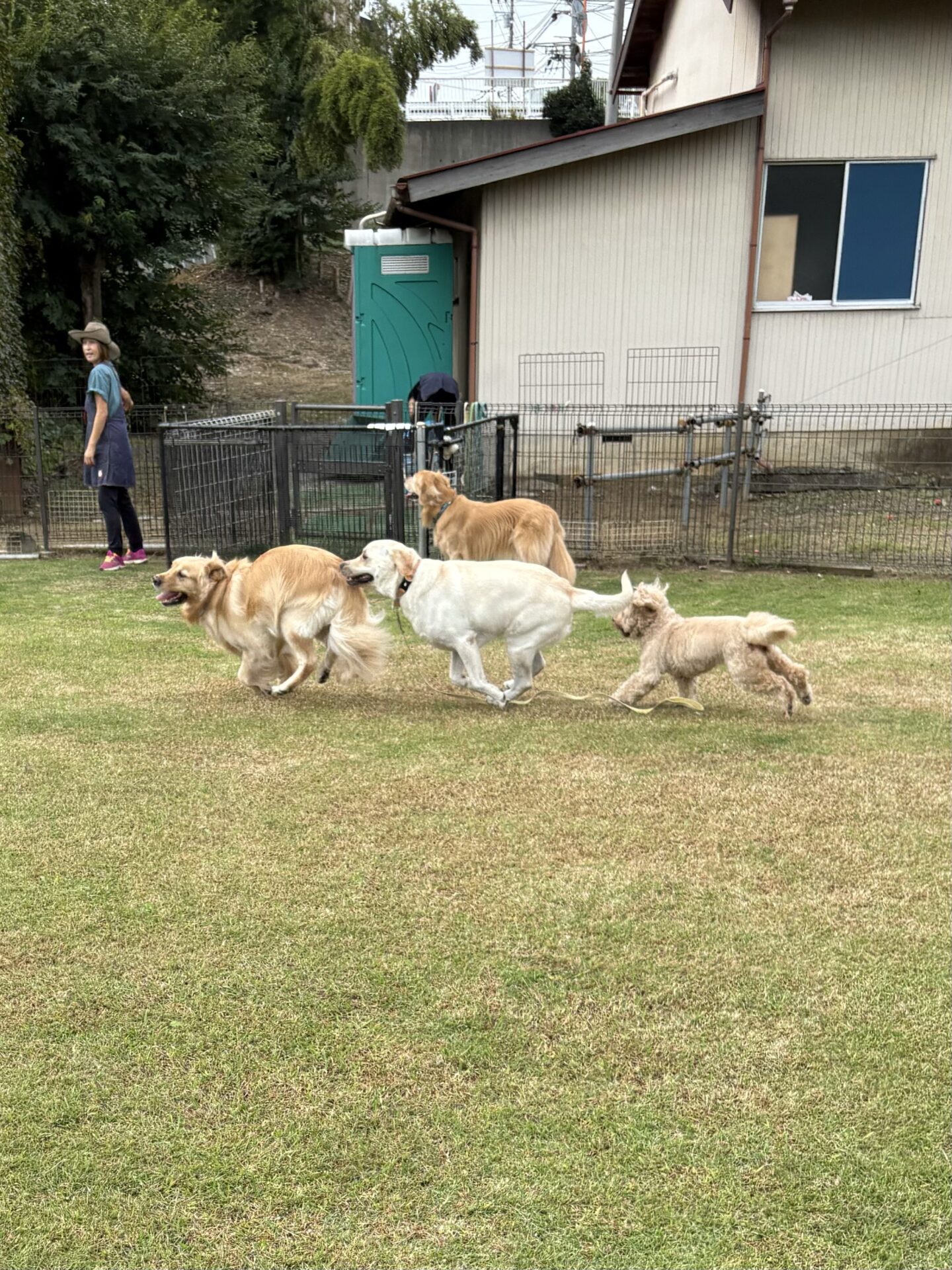 ファイル 8843-3.jpeg