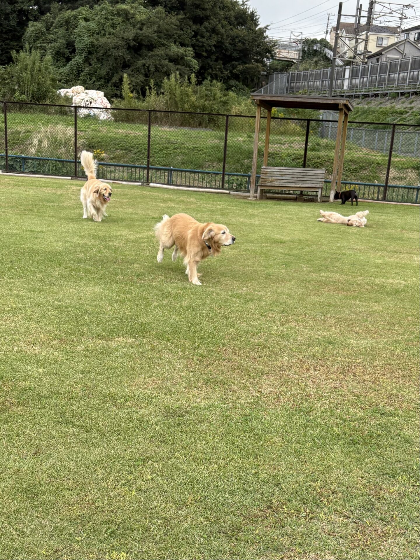 ファイル 8843-4.jpeg