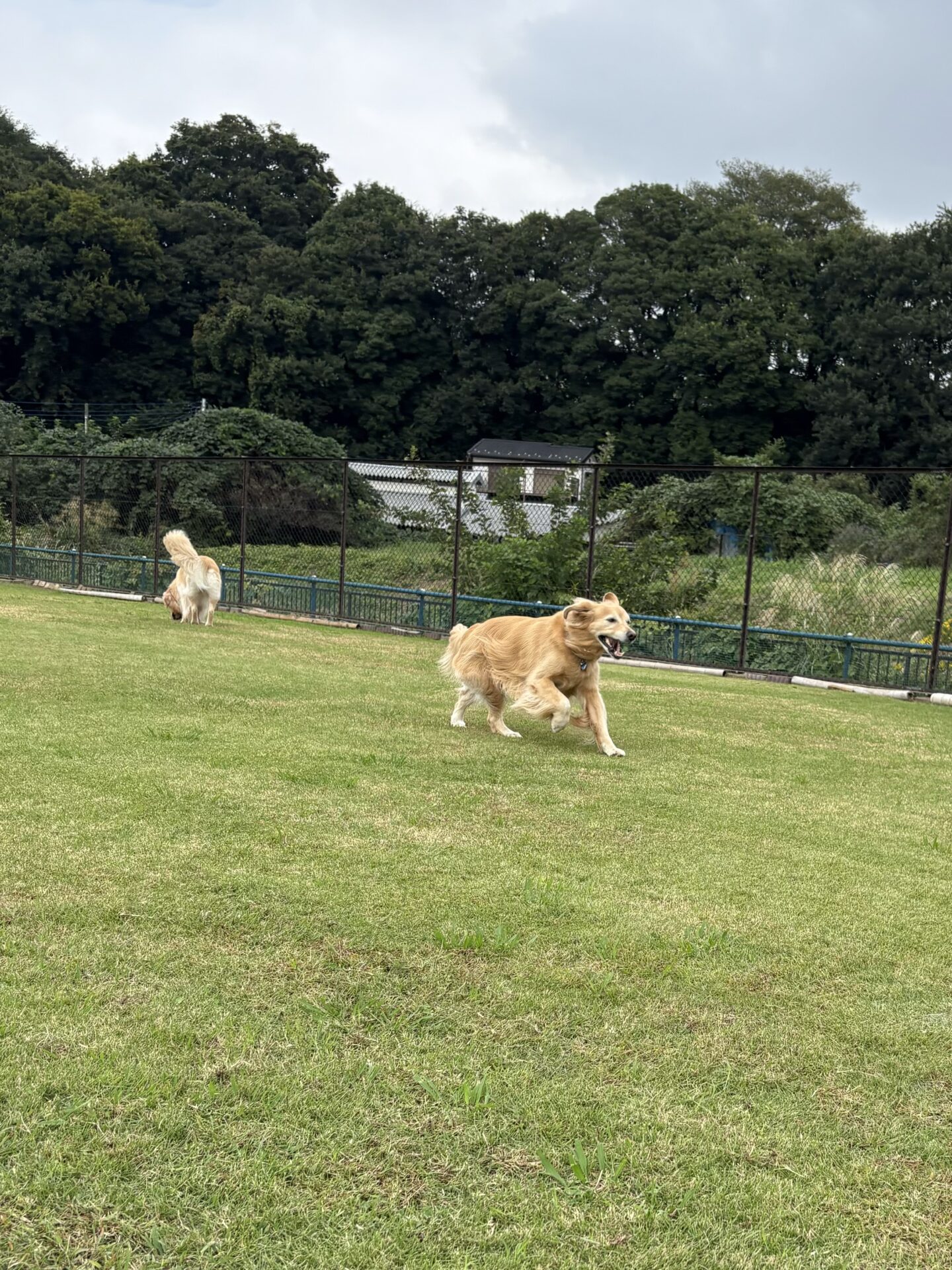 ファイル 8843-5.jpeg